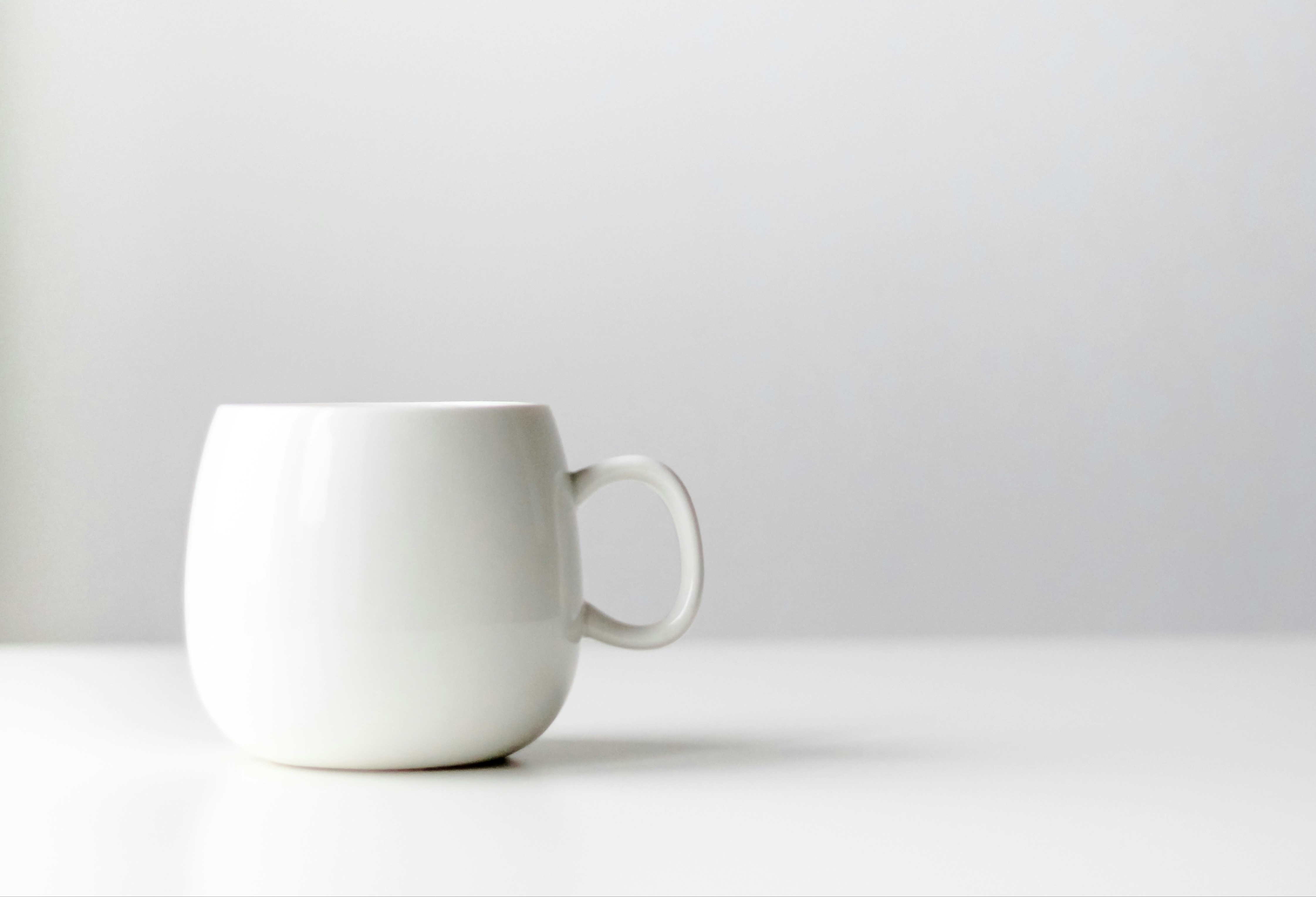 زهرة التوليب